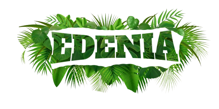 Couverture vidéo
