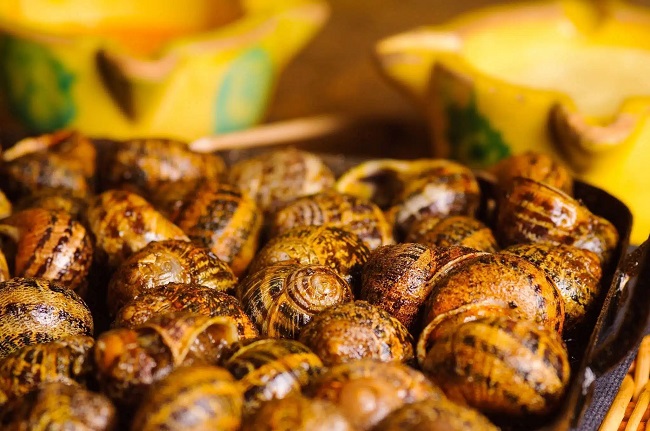 Escargots précuits (petite taille)